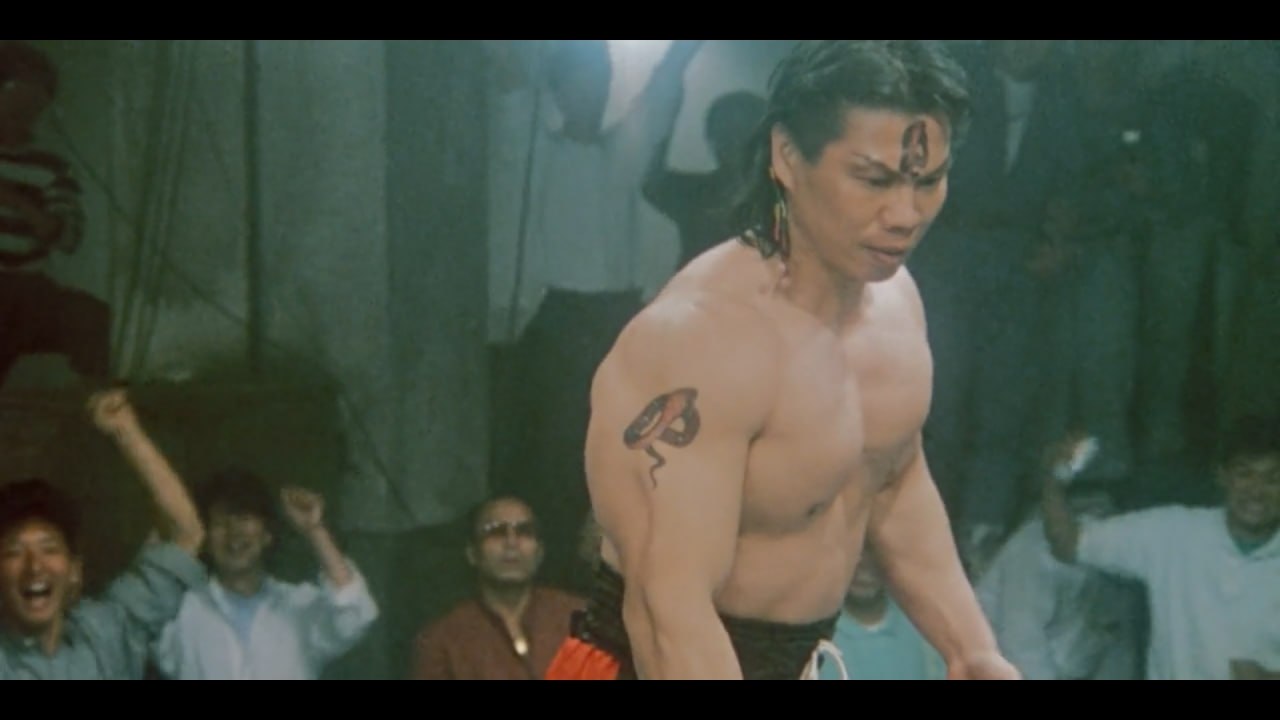 bloodfight 1989