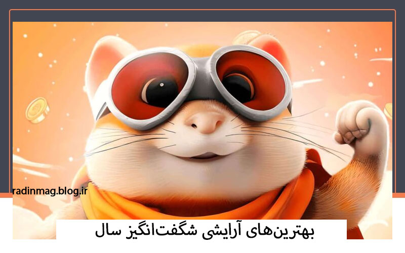 بازی همستر کامبت (Hamster Kombat) در تلگرام؛ کلاهبرداری زیبا یا آشفتگی نات کوین