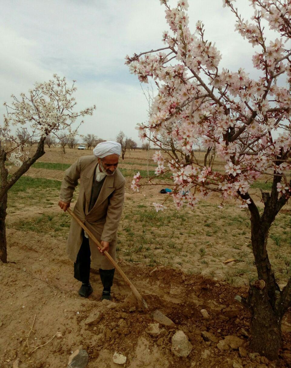غلامرضا اعتقادی