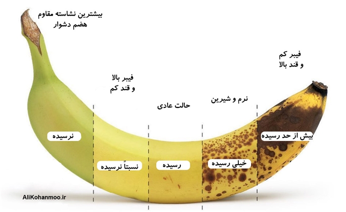 موز تغذیه