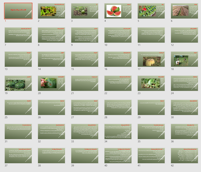پاورپوینت کاشت داشت برداشت هندوانه