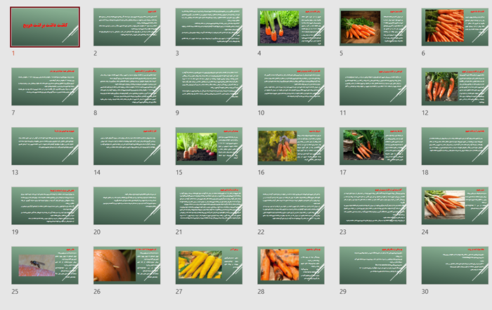 پاورپوینت کاشت داشت برداشت هویج