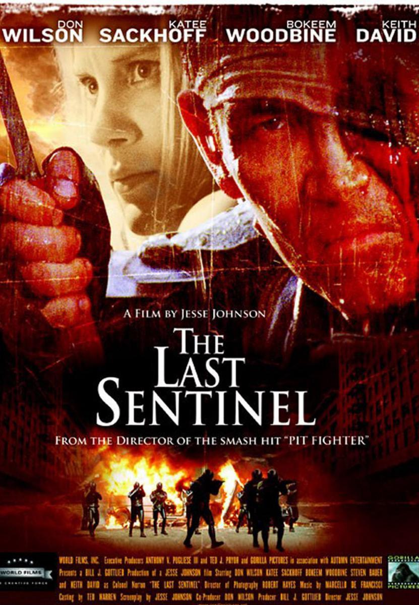 The_Last_Sentinel_2007_cover