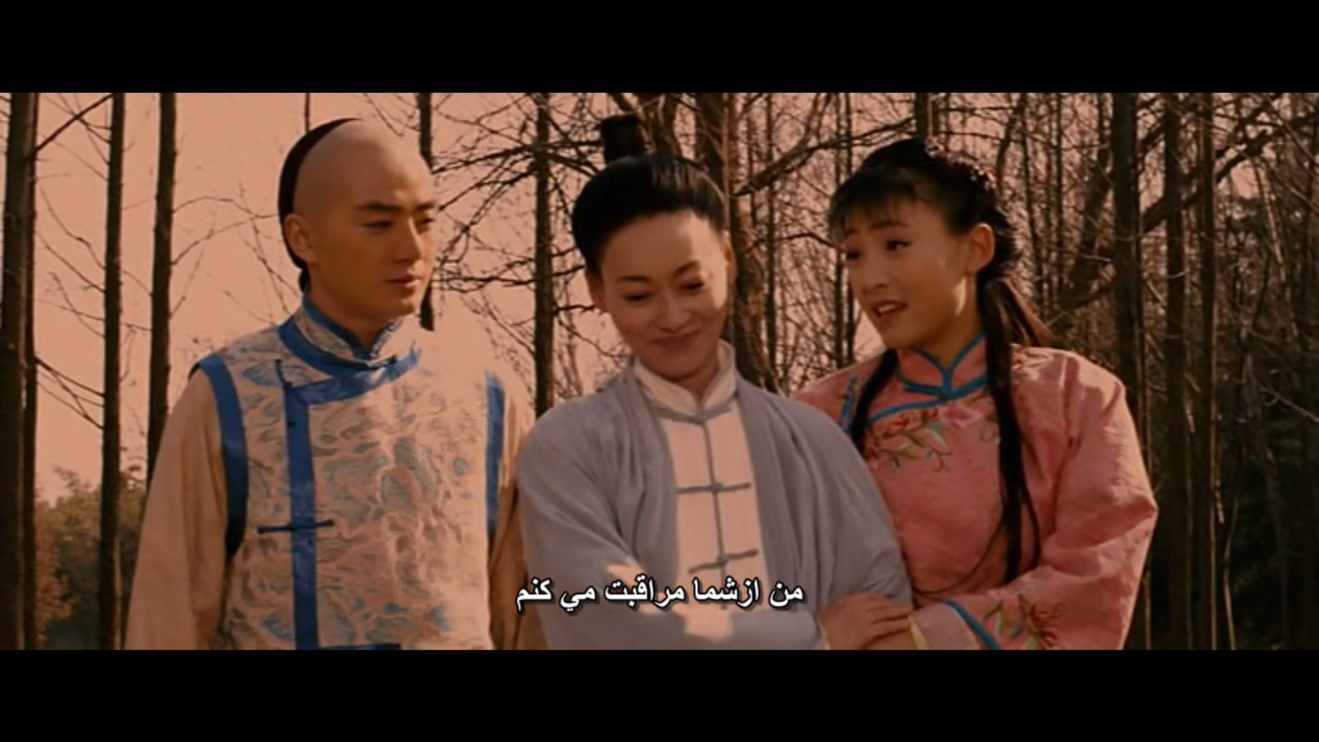 Kung_Fu_Wing_Chun_2010_razmikade_blogfa_com_mkv