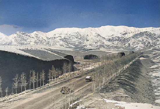تهران قدیم